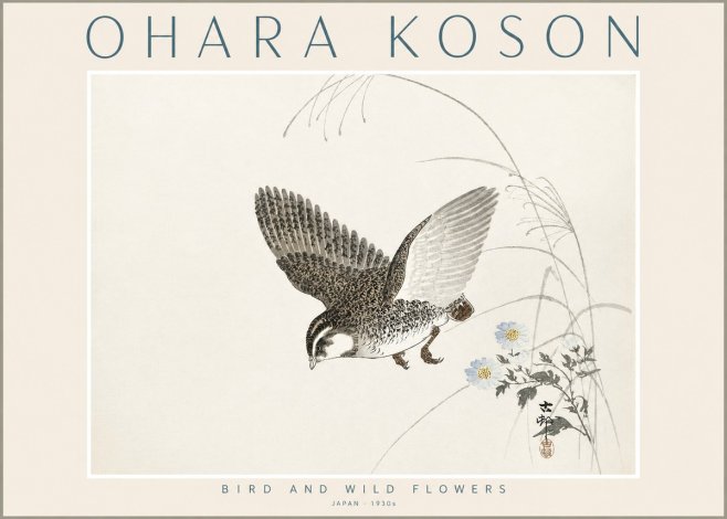 Ohara Koson Bird and Wild Flowers No2 - Plakát