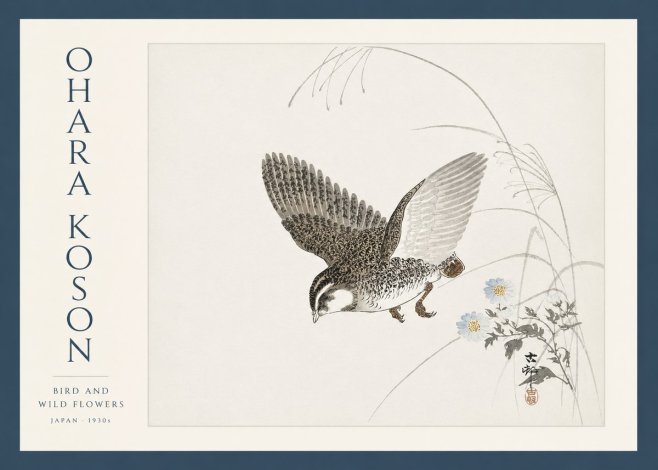 Ohara Koson Bird and Wild Flowers No3 - Plakát