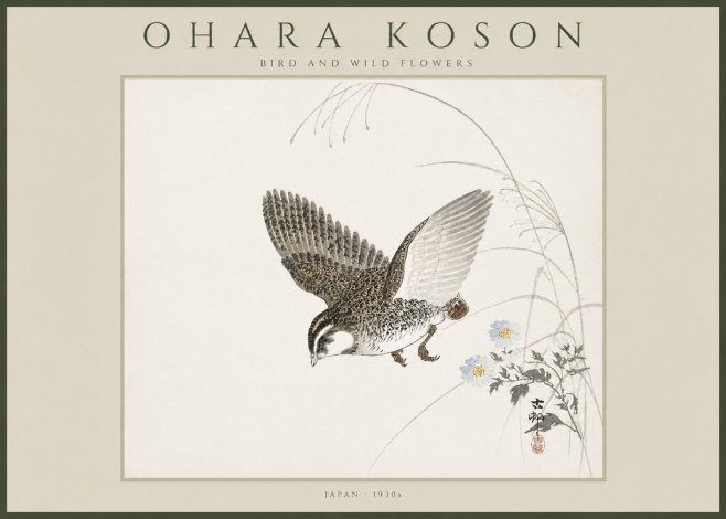 Ohara Koson Bird and Wild Flowers No4 - Plakát