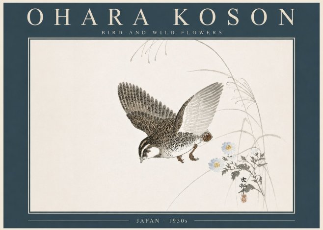 Ohara Koson Bird and Wild Flowers No5 - Plakát