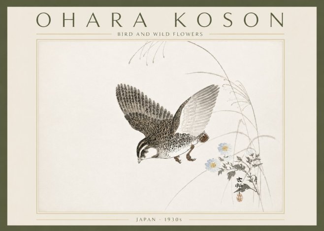 Ohara Koson Bird and Wild Flowers No6 - Plakát