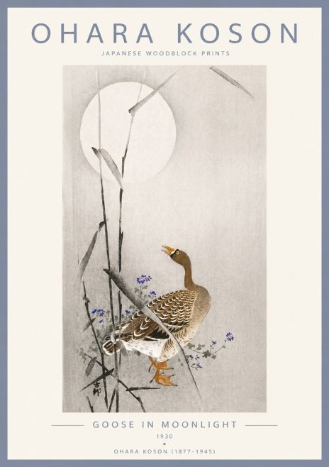 Ohara Koson Goose in Moonlight No4 - Plakát
