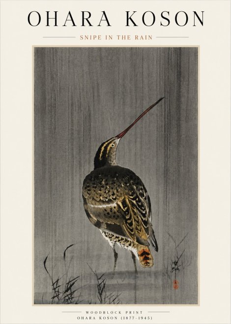 Ohara Koson Snipe in the Rain No4 - Plakát