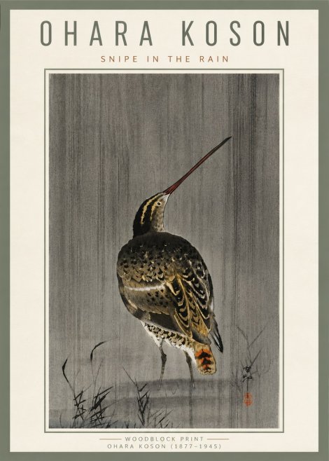 Ohara Koson Snipe in the Rain No6 - Plakát