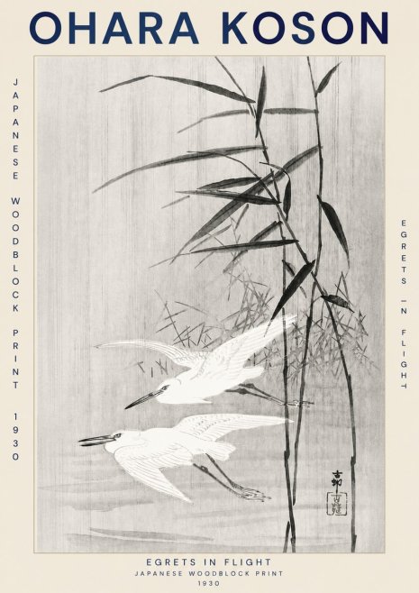 Ohara Koson Two Herons and Reeds No3 - Plakát