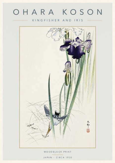 Ohara Koson Kingfisher and Iris No4 - Plakát