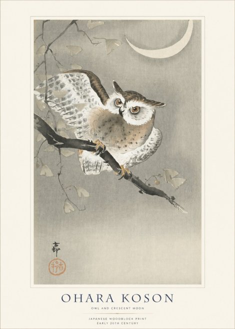 Ohara Koson Owl and Crescent Moon No1 - Plakát