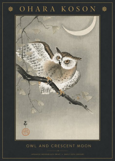 Ohara Koson Owl and Crescent Moon No3 - Plakát