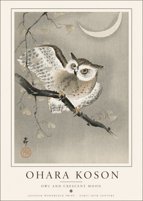 Ohara Koson Owl and Crescent Moon No5 - Plakát