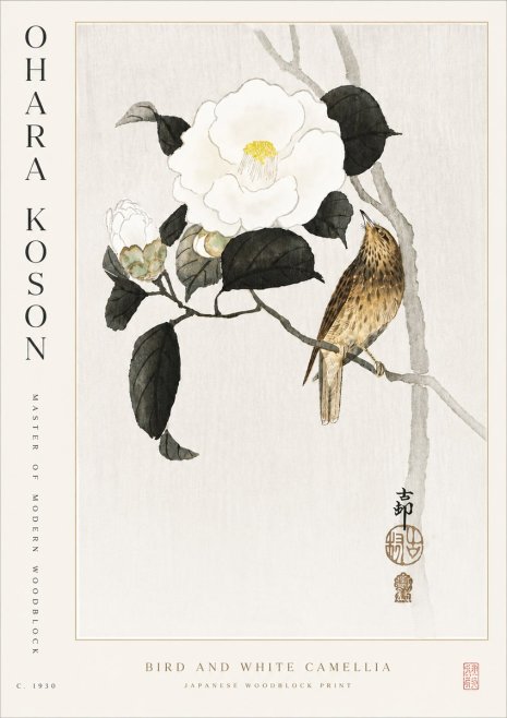 Ohara Koson Bird and White Camellia No5 - Plakát
