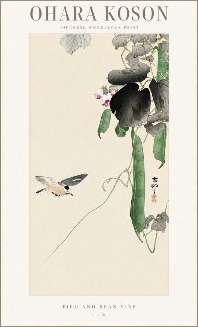 Ohara Koson Bird and Bean Vine No1 - Plakát