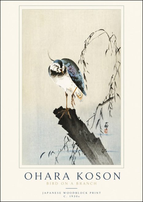 Ohara Koson Bird on a Branch III No3 - Plakát