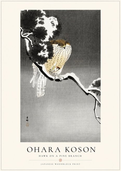 Ohara Koson Hawk on a Pine Branch No1 - Plakát