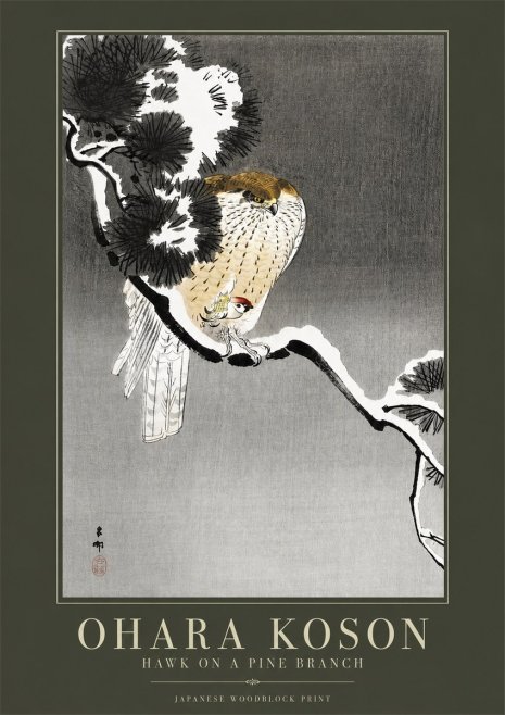 Ohara Koson Hawk on a Pine Branch No2 - Plakát
