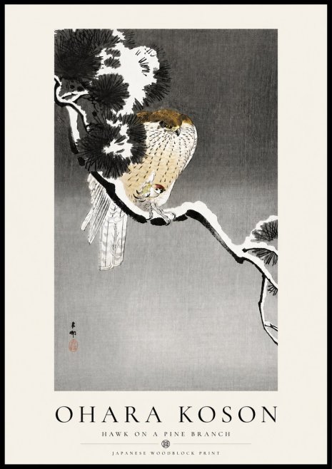 Ohara Koson Hawk on a Pine Branch No4 - Plakát