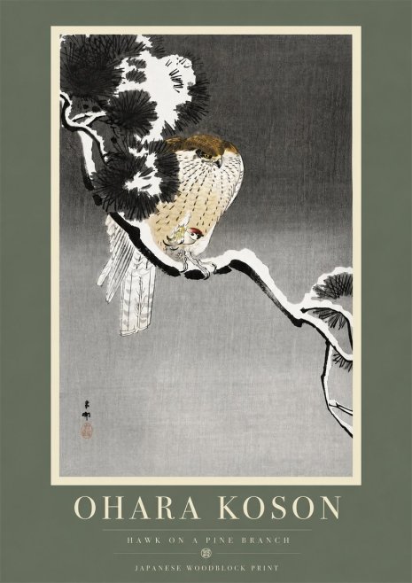 Ohara Koson Hawk on a Pine Branch No5 - Plakát