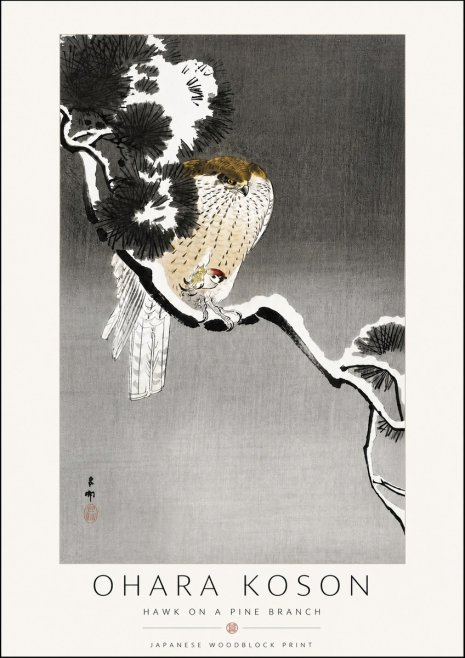 Ohara Koson Hawk on a Pine Branch No6 - Plakát