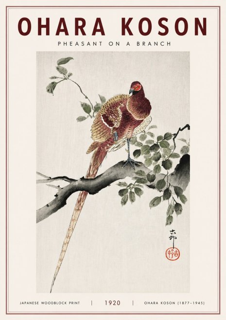 Ohara Koson Pheasant on a Branch No3 - Plakát