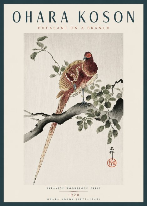 Ohara Koson Pheasant on a Branch No4 - Plakát