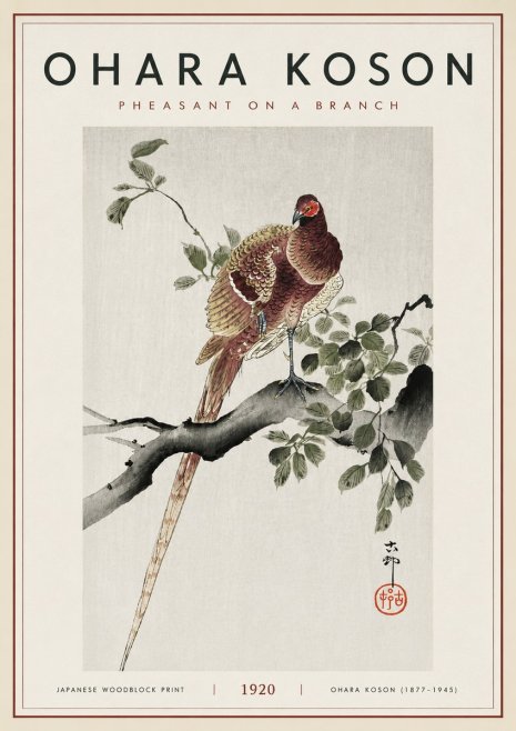 Ohara Koson Pheasant on a Branch No6 - Plakát