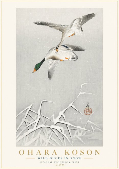 Ohara Koson Wild Ducks in Snow No3 - Plakát