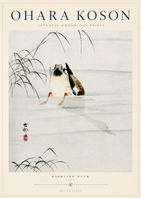Ohara Koson Dabbling Duck No3 - Plakát