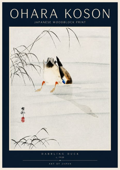 Ohara Koson Dabbling Duck No4 - Plakát