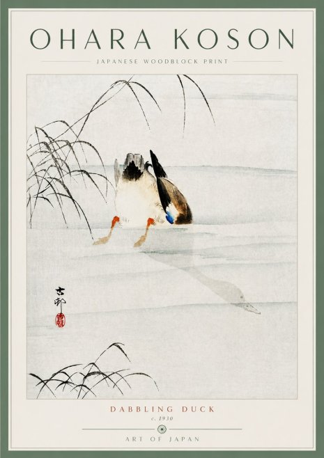 Ohara Koson Dabbling Duck No5 - Plakát