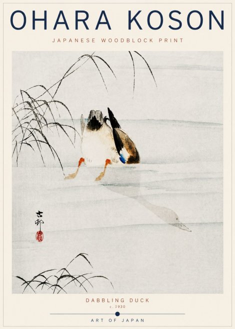 Ohara Koson Dabbling Duck No6 - Plakát