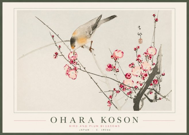 Ohara Koson Bird and Plum Blossoms No2 - Plakát