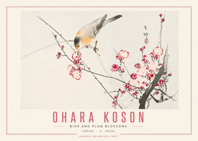 Ohara Koson Bird and Plum Blossoms No5 - Plakát