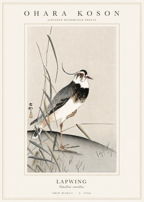 Ohara Koson Lapwing No1 - Plakát