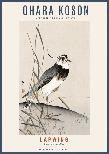 Ohara Koson Lapwing No2 - Plakát