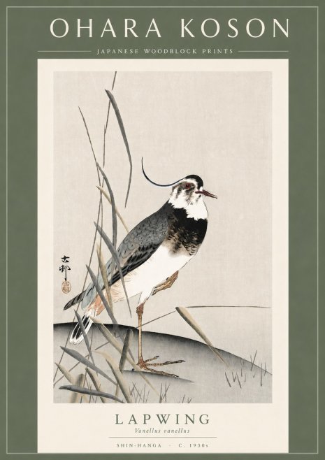 Ohara Koson Lapwing No3 - Plakát