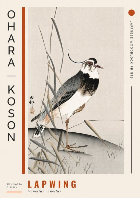 Ohara Koson Lapwing No4 - Plakát
