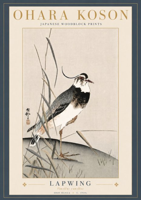 Ohara Koson Lapwing No5 - Plakát