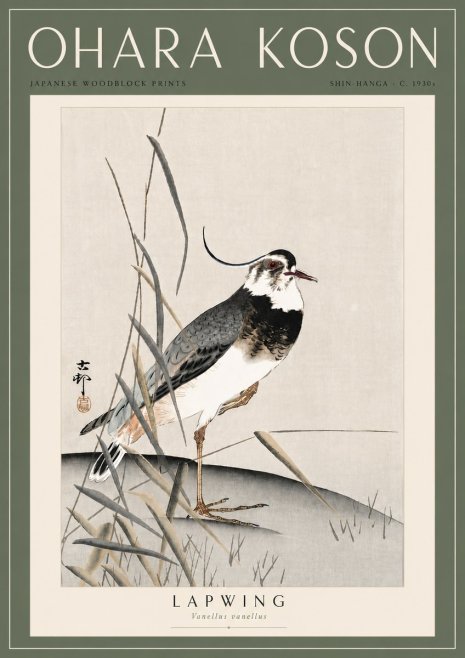Ohara Koson Lapwing No6 - Plakát