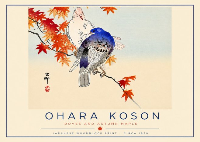 Ohara Koson Doves and Autumn Maple No6 - Plakát