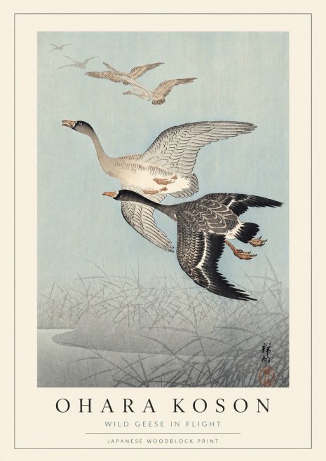 Ohara Koson Wild Geese in Flight II No3 - Plakát