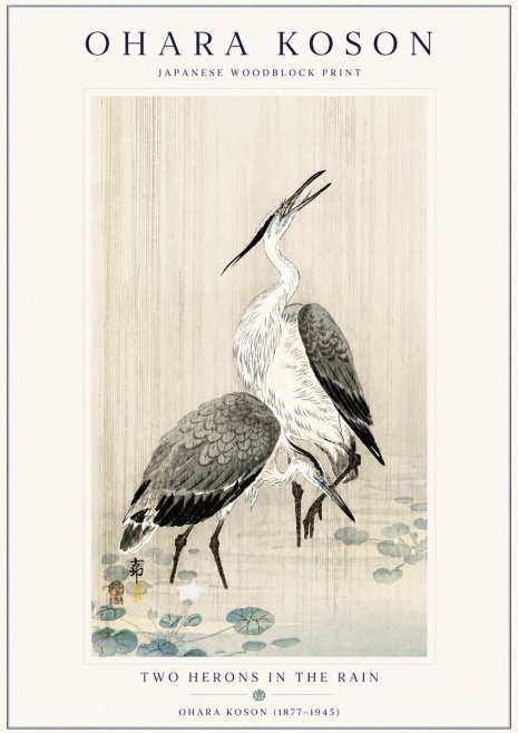 Ohara Koson Two Herons in the Rain No6 - Plakát