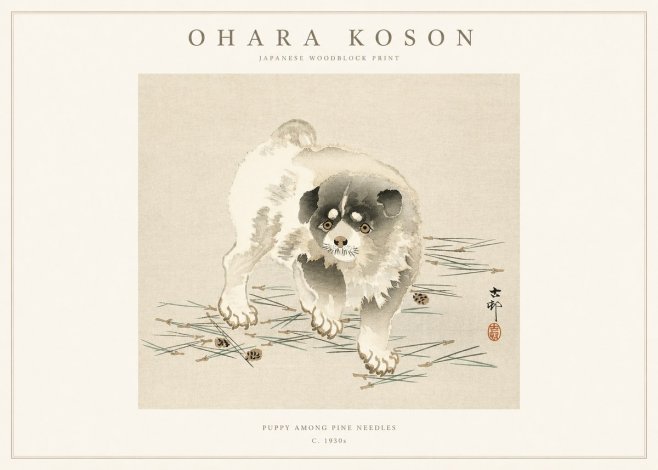 Ohara Koson Puppy Among Pine Needles No1 - Plakát