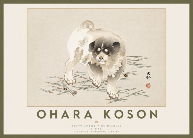 Ohara Koson Puppy Among Pine Needles No2 - Plakát