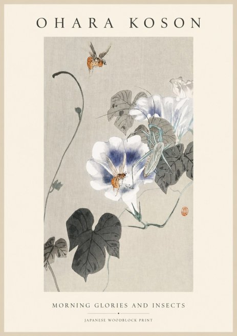 Ohara Koson Morning Glories and Insects No1 - Plakát