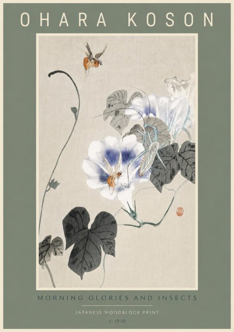 Ohara Koson Morning Glories and Insects No2 - Plakát