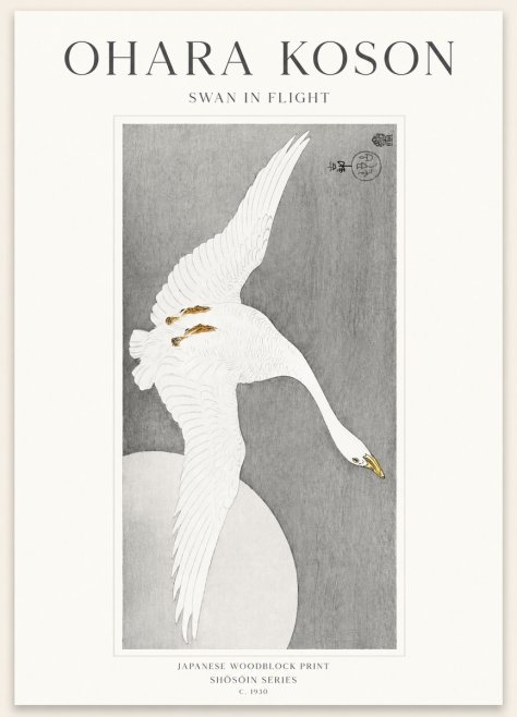 Ohara Koson Swan in Flight No1 - Plakát