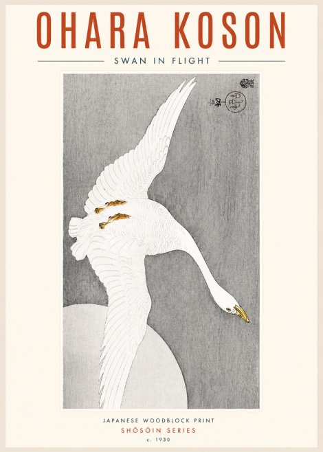Ohara Koson Swan in Flight No4 - Plakát