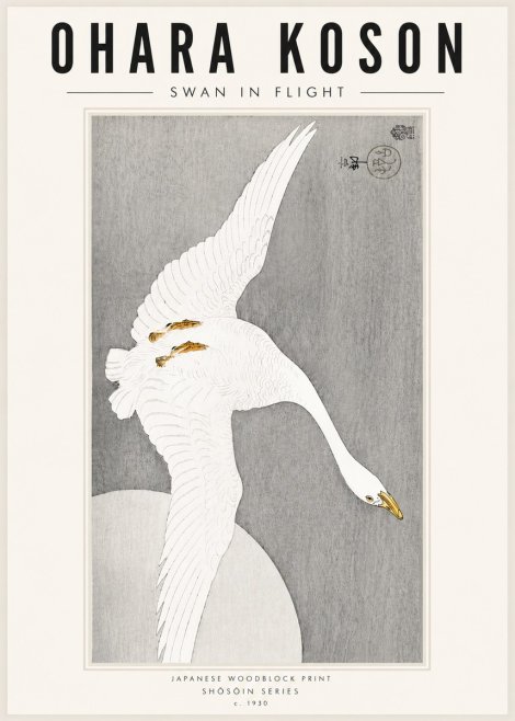 Ohara Koson Swan in Flight No5 - Plakát