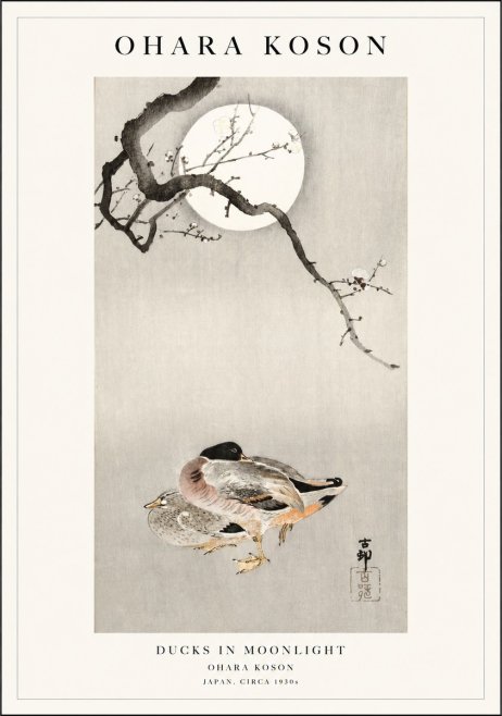 Ohara Koson Ducks in Moonlight No1 - Plakát