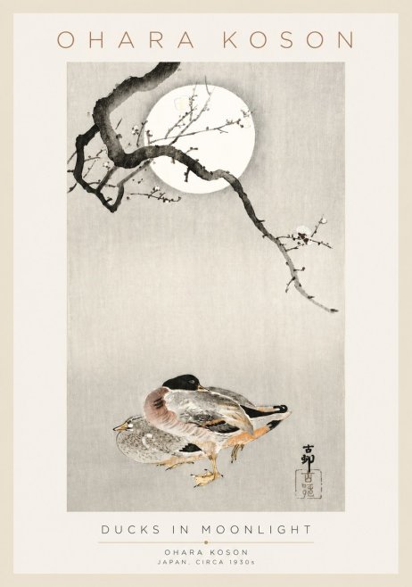 Ohara Koson Ducks in Moonlight No3 - Plakát