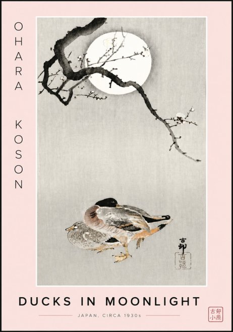 Ohara Koson Ducks in Moonlight No6 - Plakát